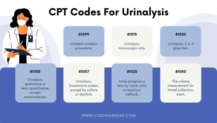 Cpt code for sodium urine