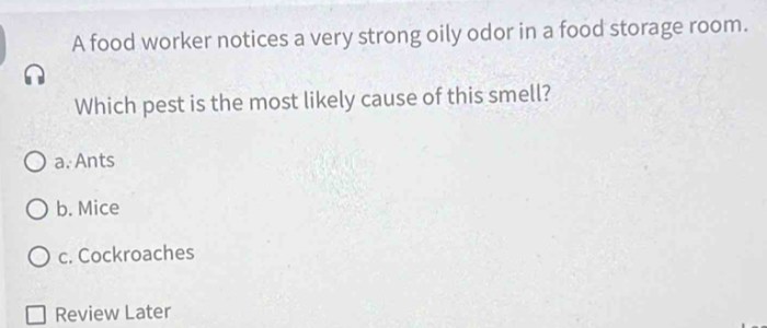 Which pest causes oily odor