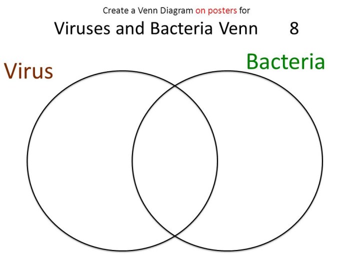 Virus bacteria venn viruses outline general biology inquiry