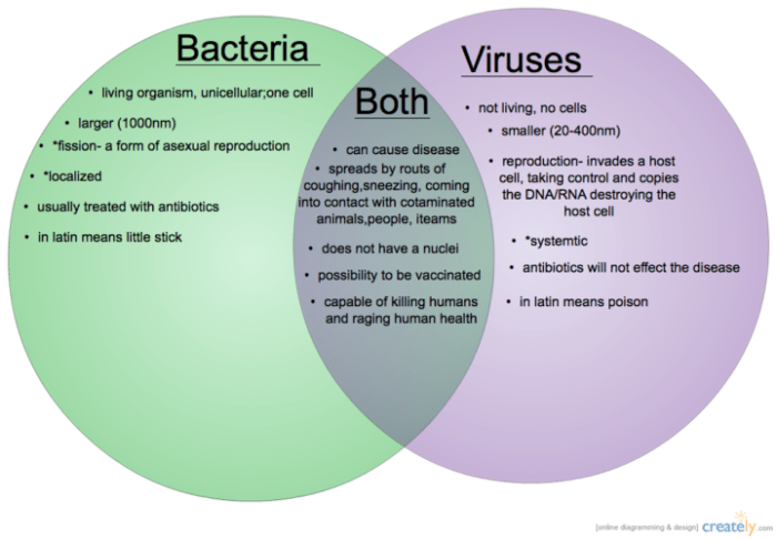 Venn diagram of bacteria and viruses