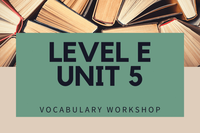 Vocab workshop level e unit 5