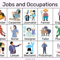 Jobs occupations list english vocabulary occupation examples types job kids verbs learn choose board teaching