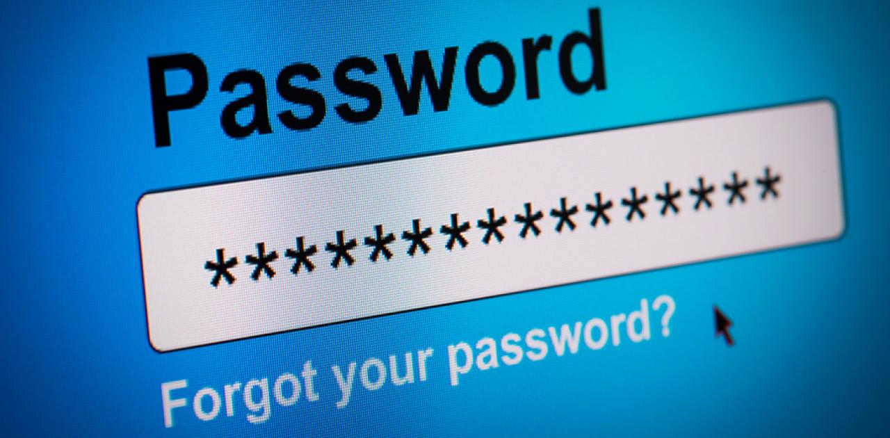 What makes a good password everfi