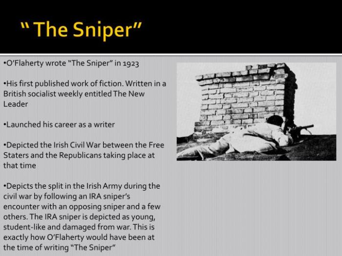 The sniper by liam o'flaherty theme