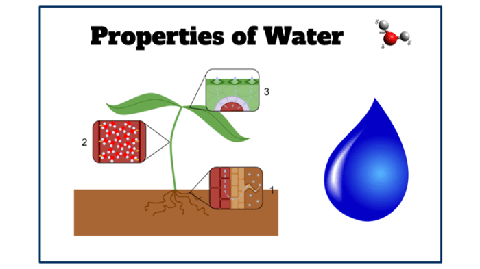Properties of water lab stations